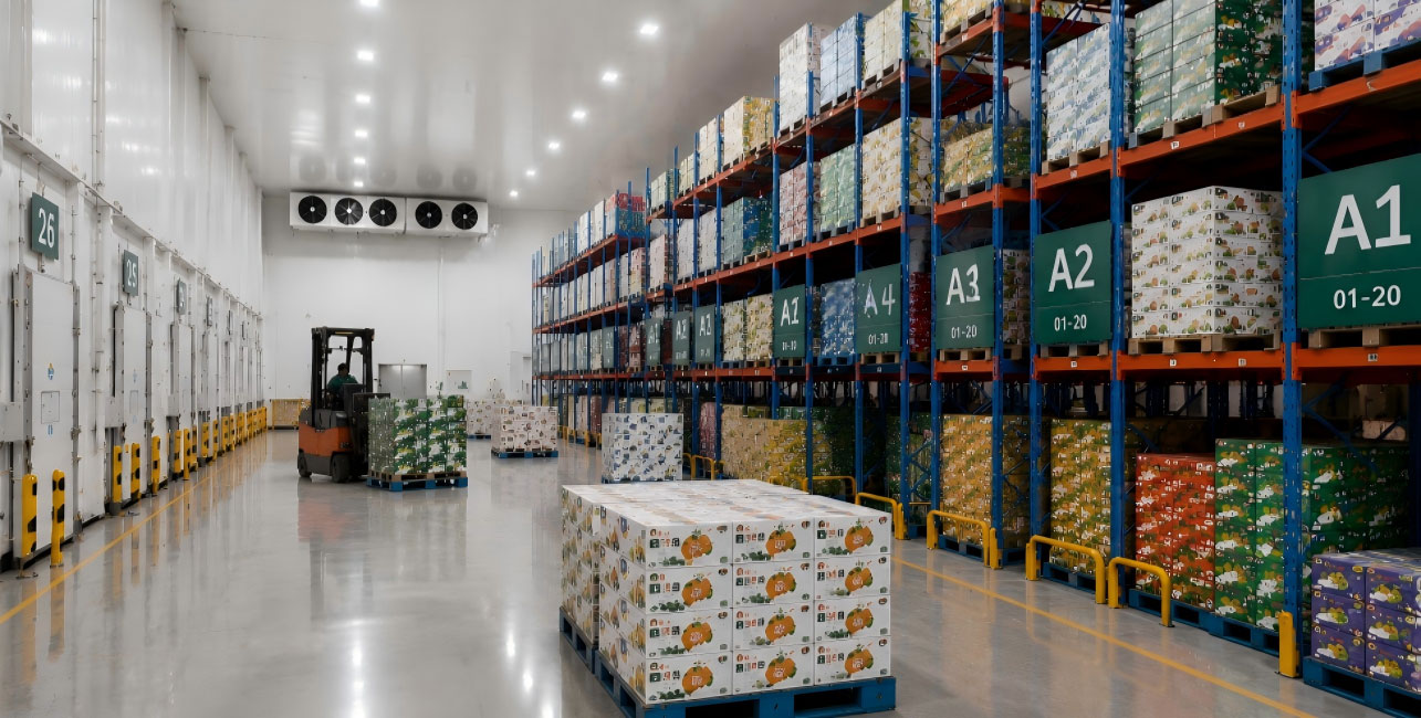 CUSTOMS-REGISTERED PACKAGING PLANT FOR EXPORT FRUITS