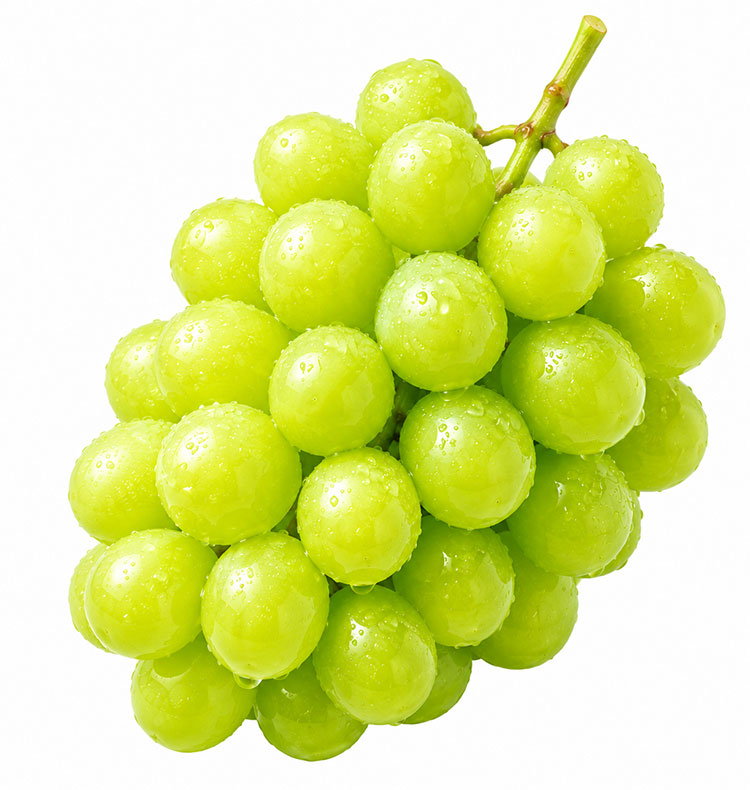 Shine Muscat Seedless Grape